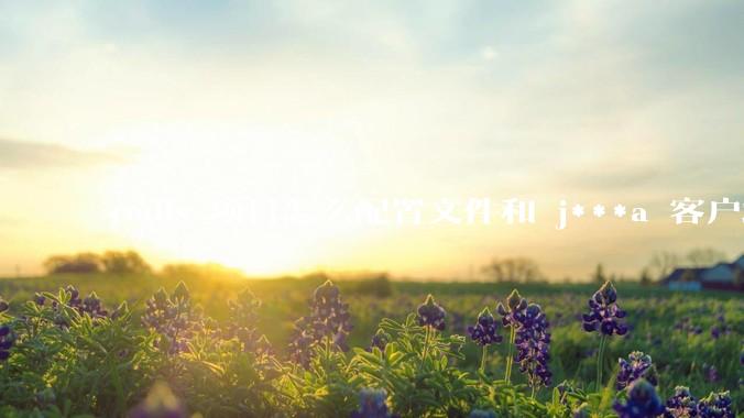 redis 项目怎么配置文件和 j***a 客户端连接？