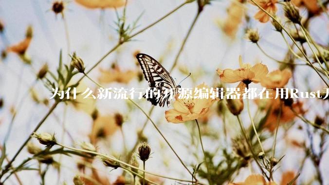 为什么新流行的开源编辑器都在用Rust开发？